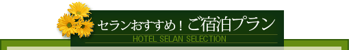 セランおすすめ!ご宿泊プラン